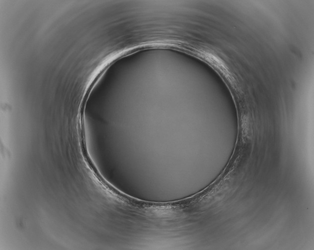 X0000091101428200708061410