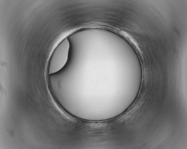 X0000091101429200708061410