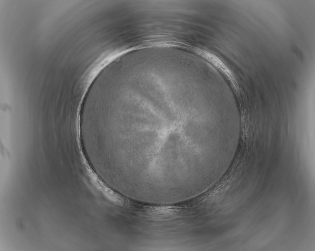 X0000091101431200708061410