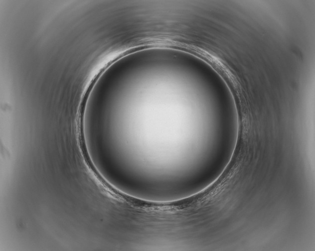 X0000091101432200708061410