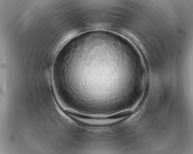 X0000091101433200708061410