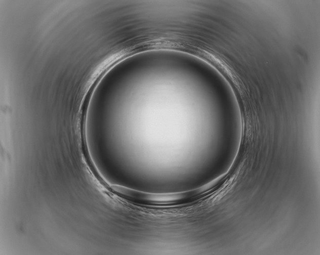 X0000091101434200708061410