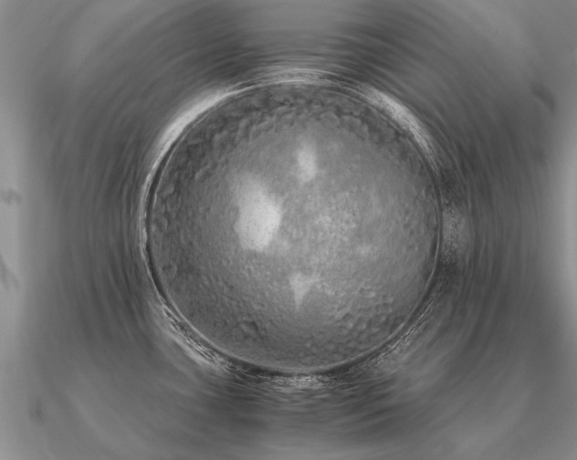 X0000091101435200708061410