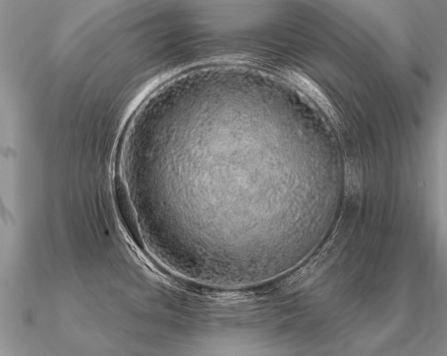 X0000091101436200708061410