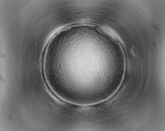 X0000091101437200708061410