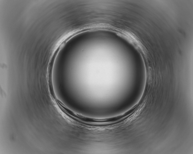 X0000091101438200708061410