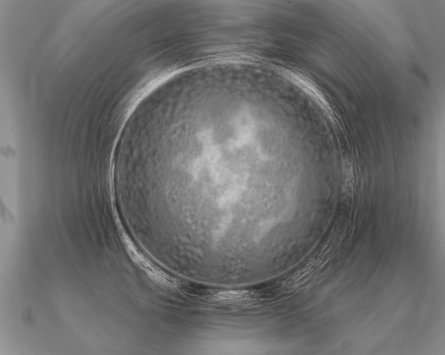 X0000091101439200708061410