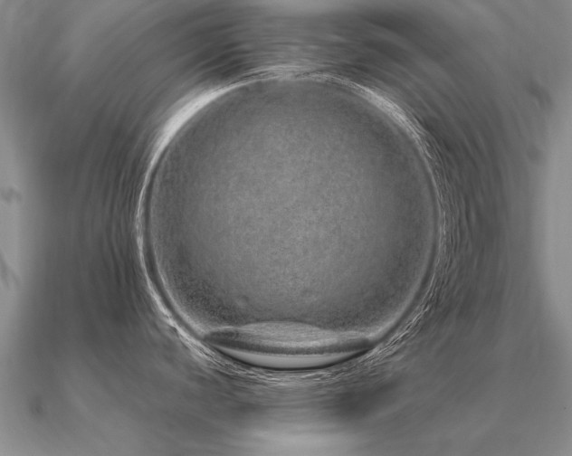 X0000091101440200708061410