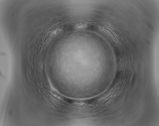 X0000091101441200708061410