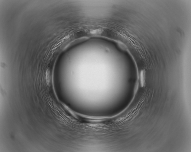 X0000091101443200708061410