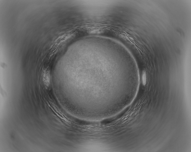 X0000091101444200708061410