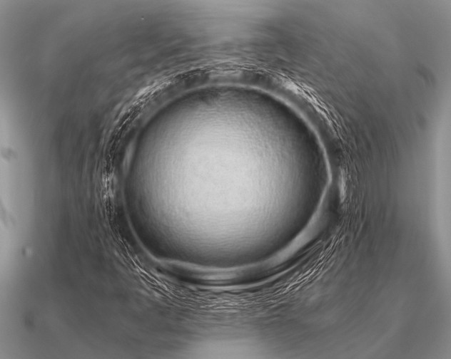 X0000091101445200708061410