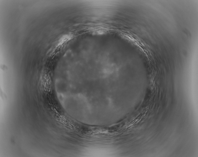 X0000091101446200708061410