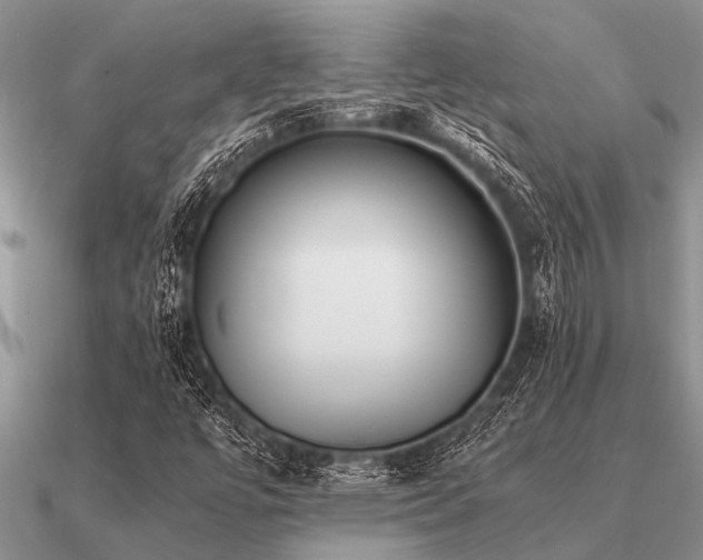 X0000091101447200708061410