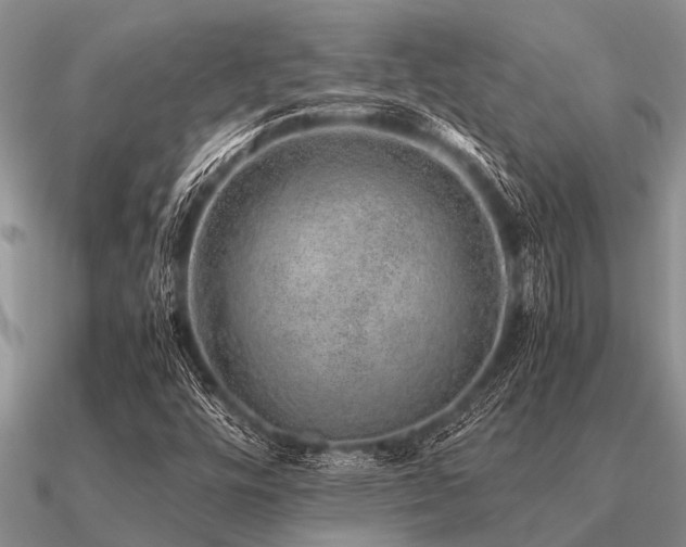 X0000091101448200708061410