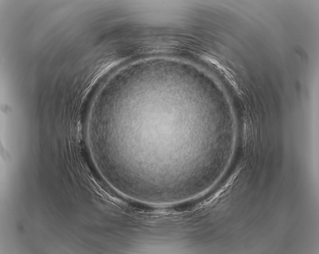 X0000091101449200708061410