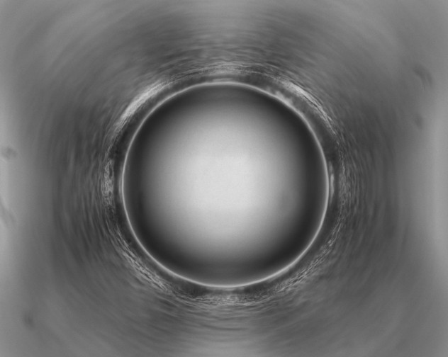 X0000091101450200708061409