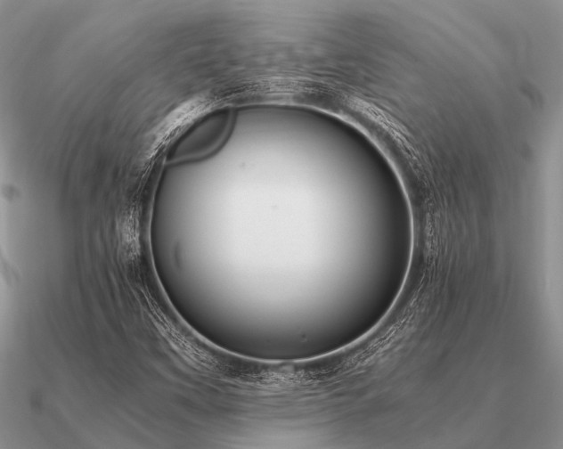 X0000091101451200708061409