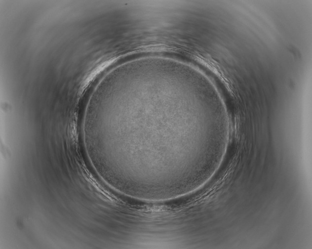 X0000091101452200708061409