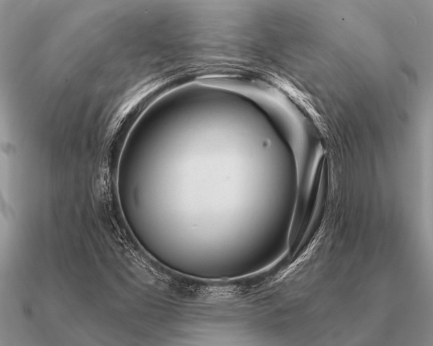 X0000091101453200708061409