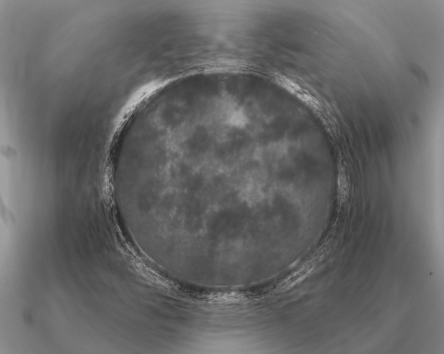 X0000091101454200708061409