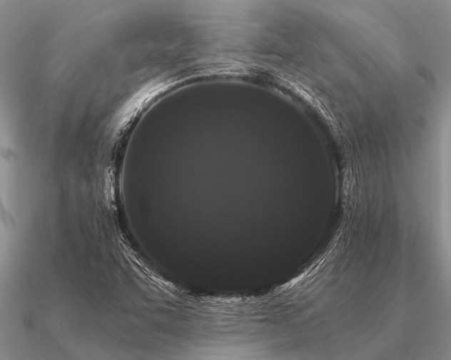 X0000091101455200708061409