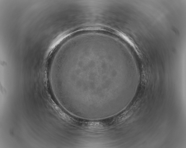 X0000091101456200708061409