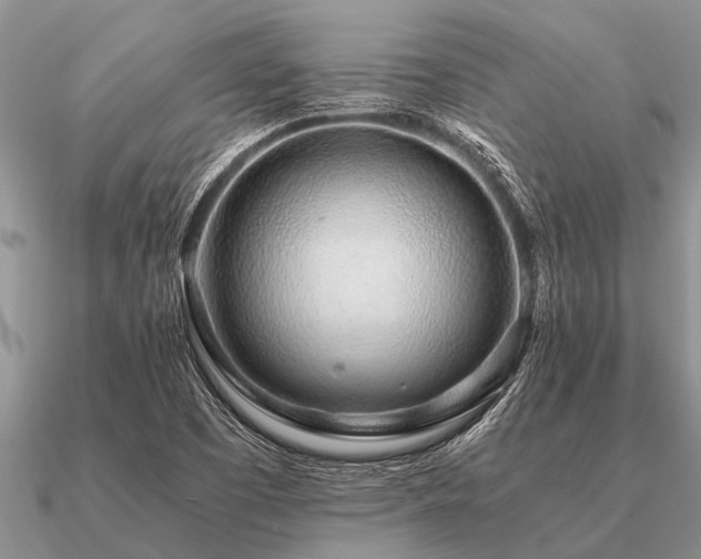 X0000091101457200708061409