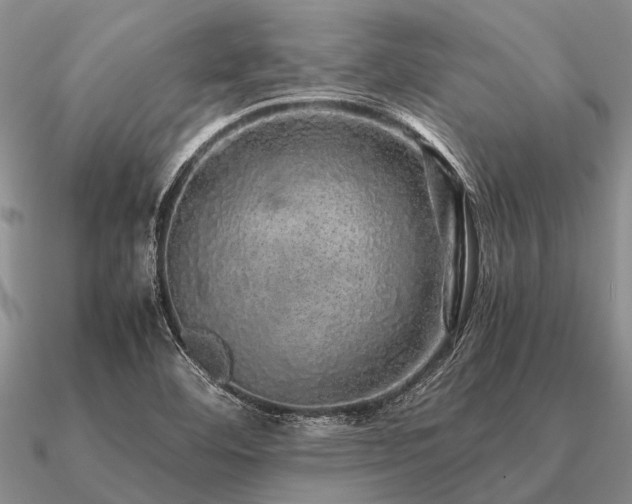 X0000091101460200708061408