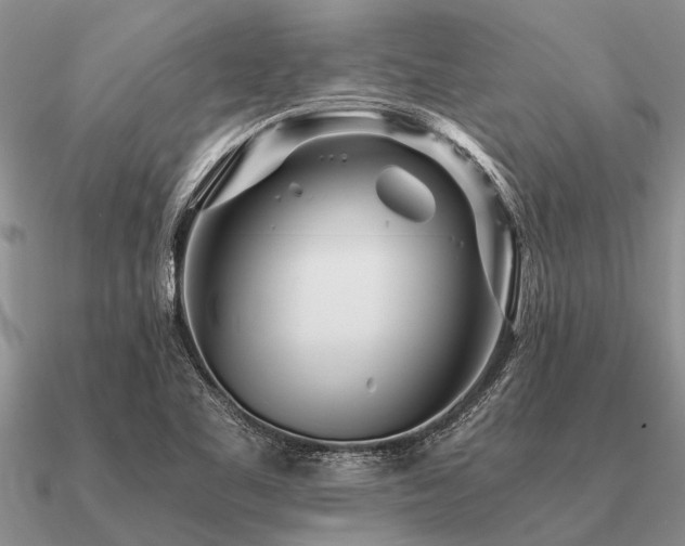 X0000091101461200708061408