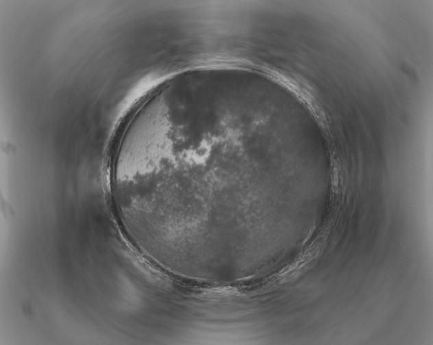 X0000091101462200708061408