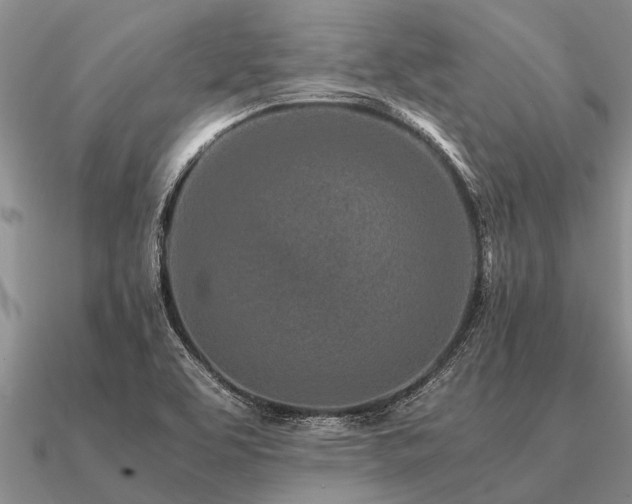 X0000091101463200708061408