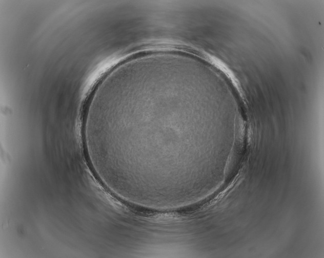 X0000091101464200708061408