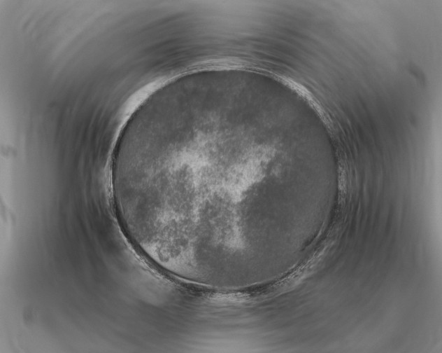 X0000091101466200708061408