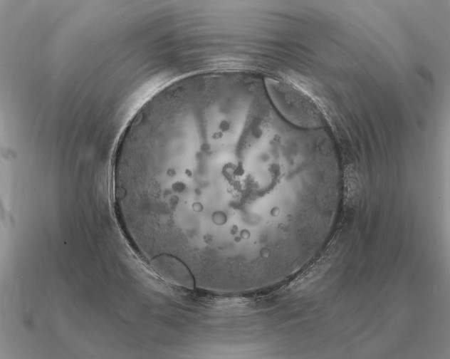 X0000091101467200708061408