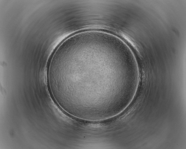 X0000091101468200708061408