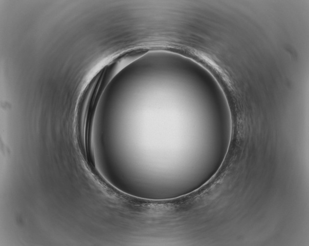 X0000091101469200708061408