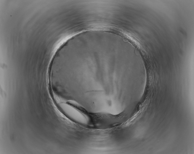 X0000091101471200708061408