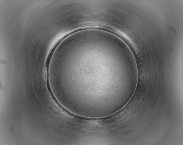 X0000091101472200708061408