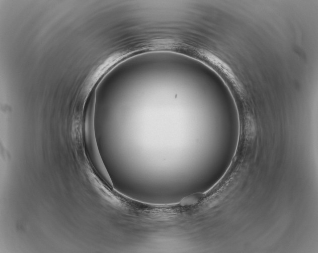 X0000091101473200708061408