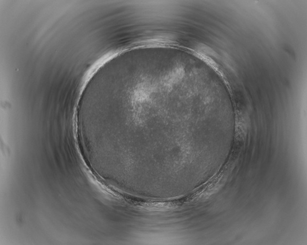 X0000091101474200708061408