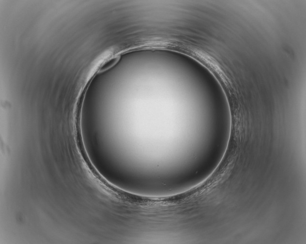 X0000091101475200708061408