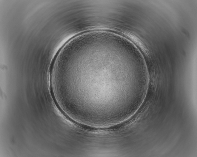 X0000091101476200708061408