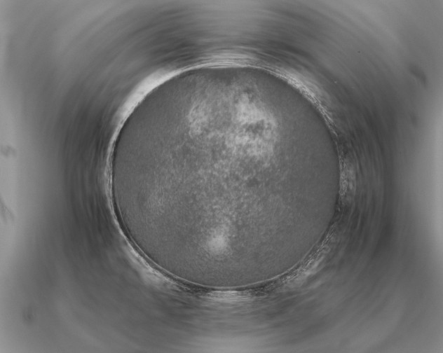 X0000091101478200708061408