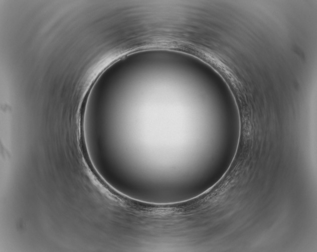 X0000091101479200708061408