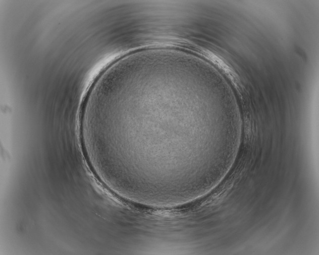 X0000091101480200708061408