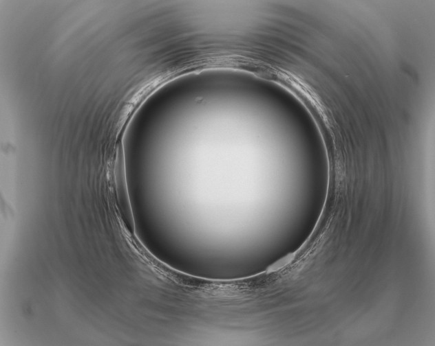 X0000091101481200708061408