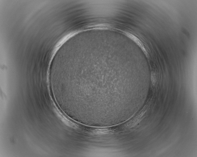 X0000091101482200708061408