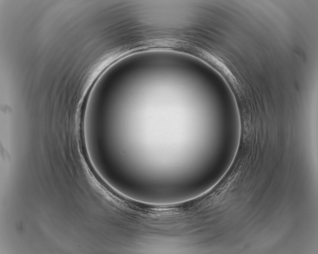 X0000091101483200708061408