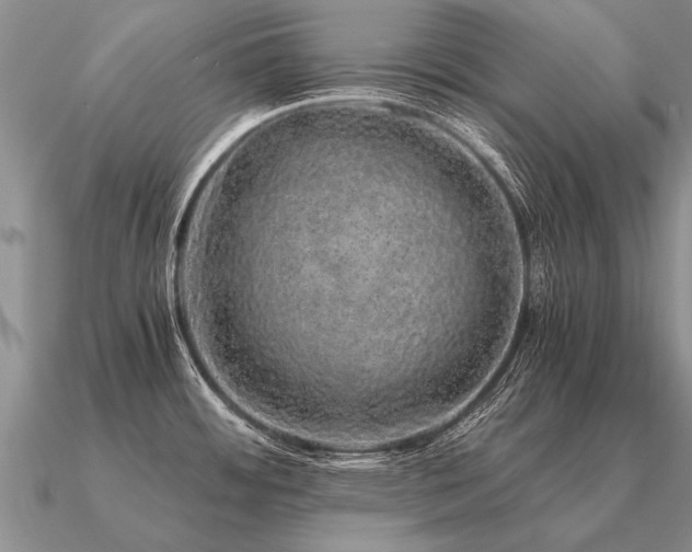 X0000091101484200708061408